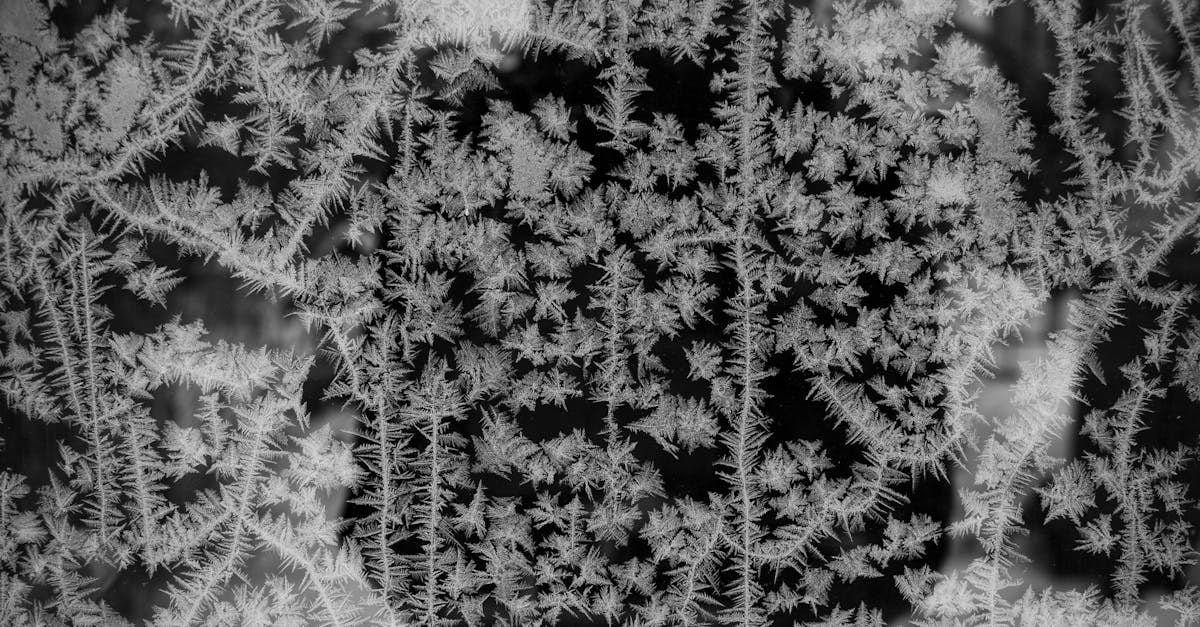 découvrez l'élégance et la modernité du verre dépoli, idéal pour apporter confidentialité et style à vos espaces intérieurs.