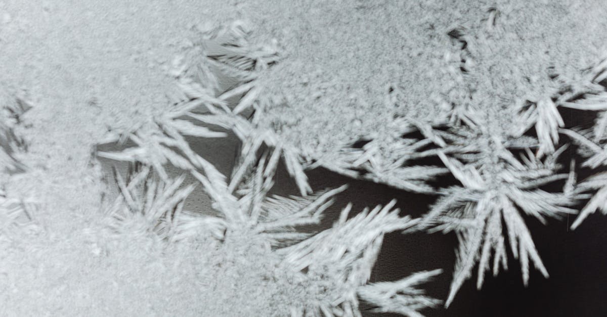 découvrez nos solutions élégantes de verre dépoli pour apporter intimité et style à vos espaces tout en laissant passer la lumière naturellement.