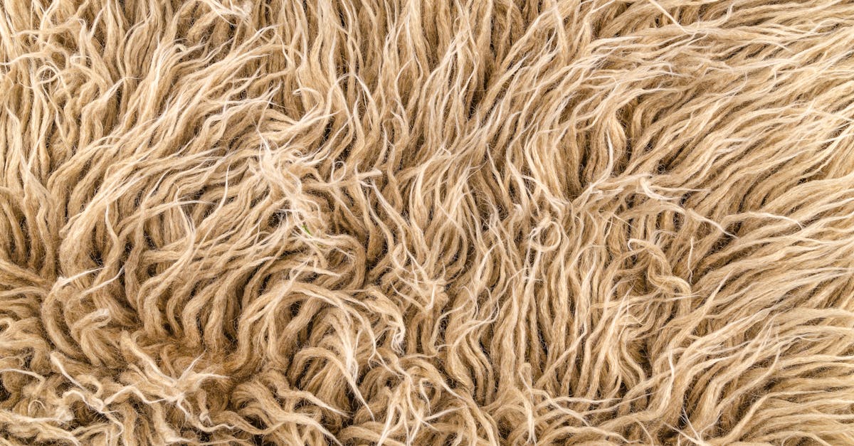 découvrez notre tissu en fibre de verre, offrant résistance, durabilité et légèreté pour vos projets industriels et artisanaux.