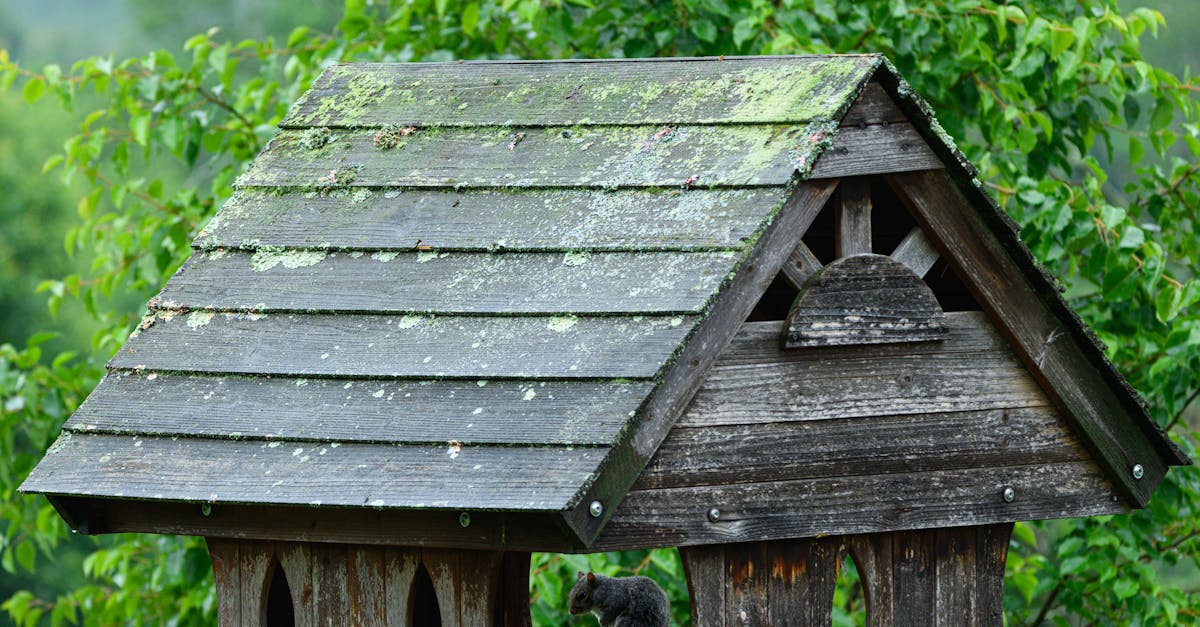 découvrez notre pergola à toit en verre, alliant élégance et fonctionnalité pour profiter de votre espace extérieur tout en étant protégé des intempéries.