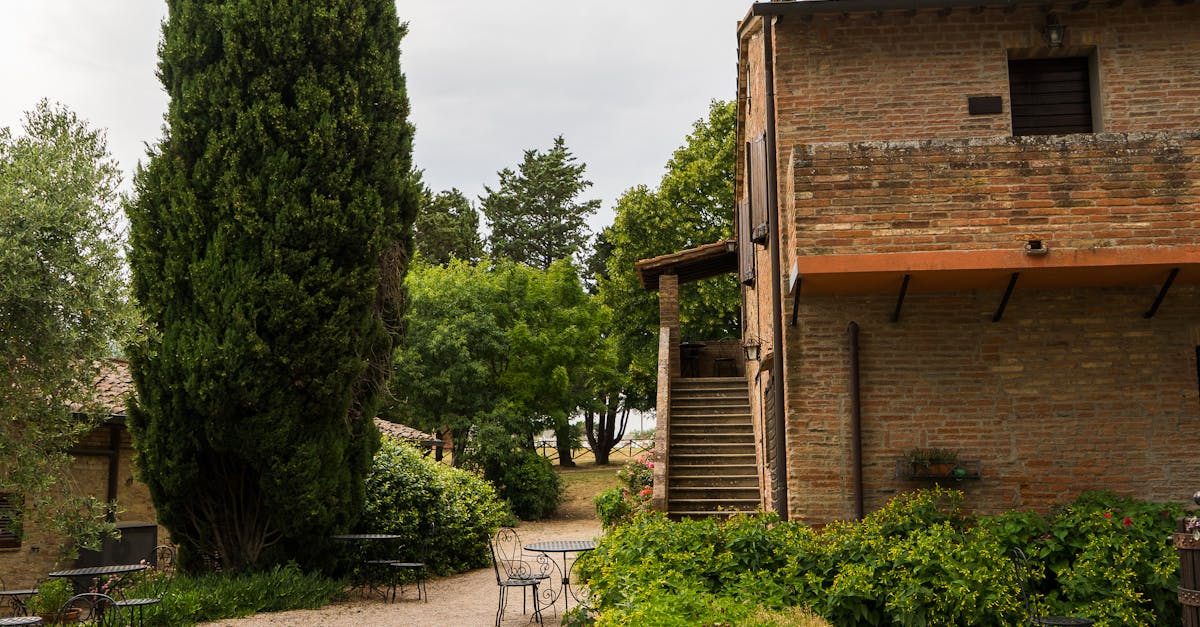 découvrez notre terrasse avec jacuzzi, un espace idéal pour se détendre et profiter d'un moment de bien-être en plein air.