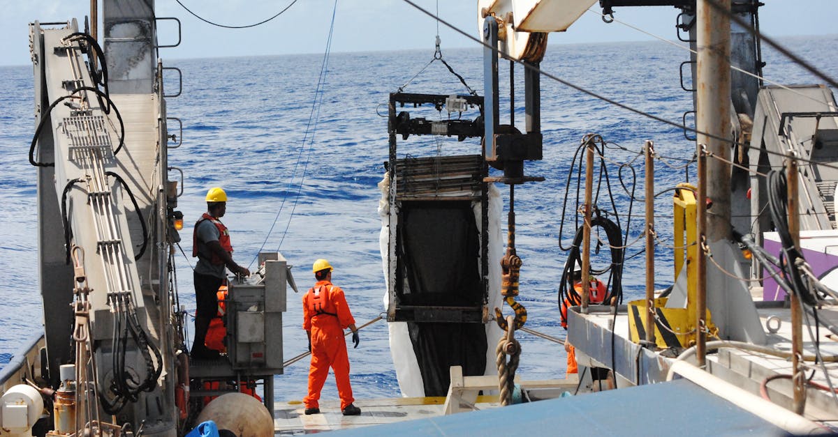 découvrez la construction de terrasses en mélèze, un bois naturel et durable idéal pour créer un espace extérieur esthétique et résistant.