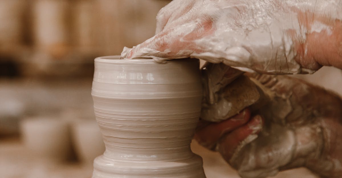 découvrez tout sur la moisissure : définitions, causes, prévention et solutions pour protéger votre maison et votre santé.