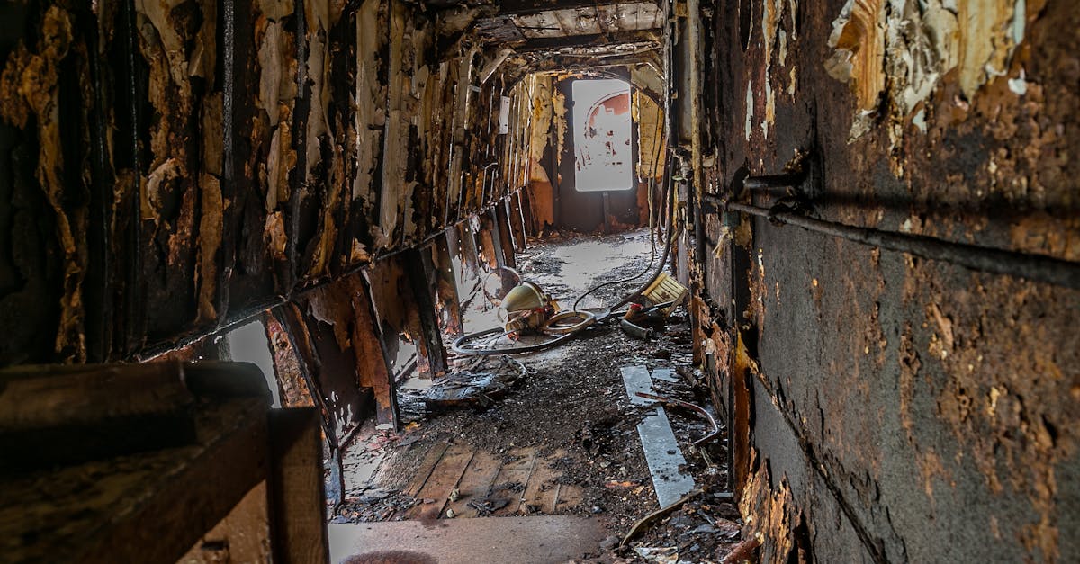 découvrez tout sur la moisissure : causes, risques pour la santé, méthodes de prévention et solutions efficaces pour l'éliminer de votre maison.