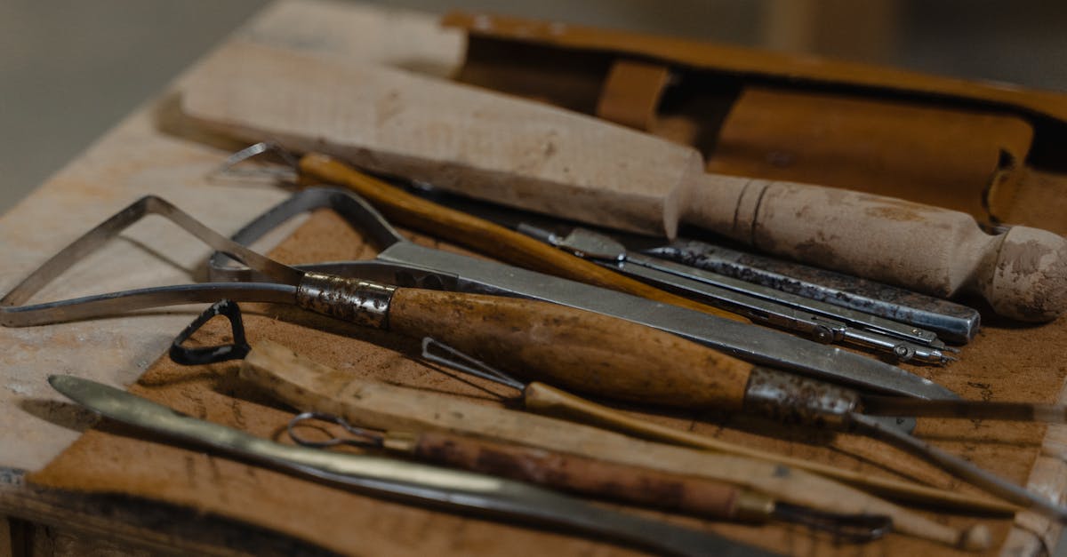 découvrez tout ce qu'il faut savoir sur la moisissure : identification, prévention et solutions pour un environnement sain.