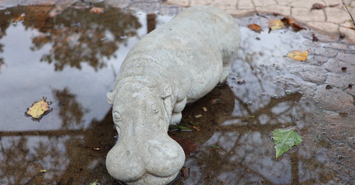 découvrez nos patios en pierre naturelle alliant élégance et durabilité pour sublimer votre extérieur.