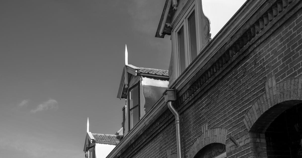 découvrez nos solutions de lucarnes de toit pour optimiser l'espace et apporter lumière naturelle à vos combles. esthétique et fonctionnalité garanties.