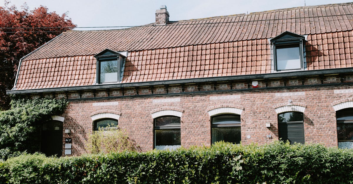 découvrez tout sur les lucarnes de toit : styles, avantages et conseils pour optimiser l'espace et la lumière dans vos combles.