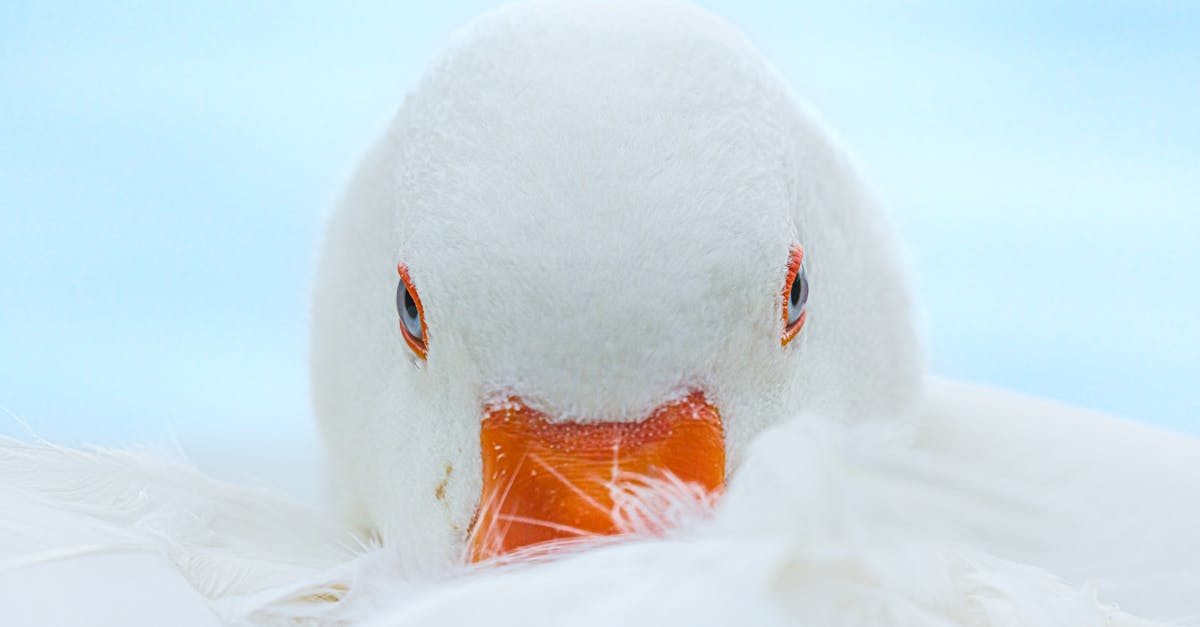 découvrez notre vitrage de sécurité offrant protection et résistance maximale contre les effractions et impacts. idéal pour sécuriser vos fenêtres et vitrines.