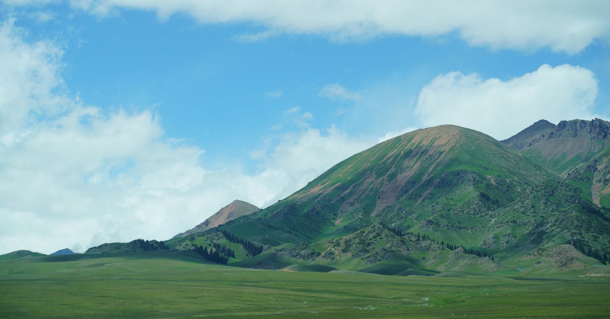 découvrez l'importance de la ventilation des fosses septiques pour assurer leur bon fonctionnement et prévenir les mauvaises odeurs.