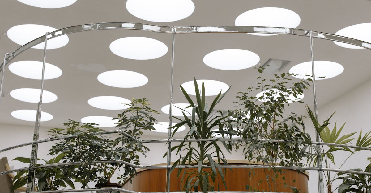 découvrez notre sélection de puits de lumière pour illuminer naturellement votre intérieur, alliant design et efficacité énergétique.