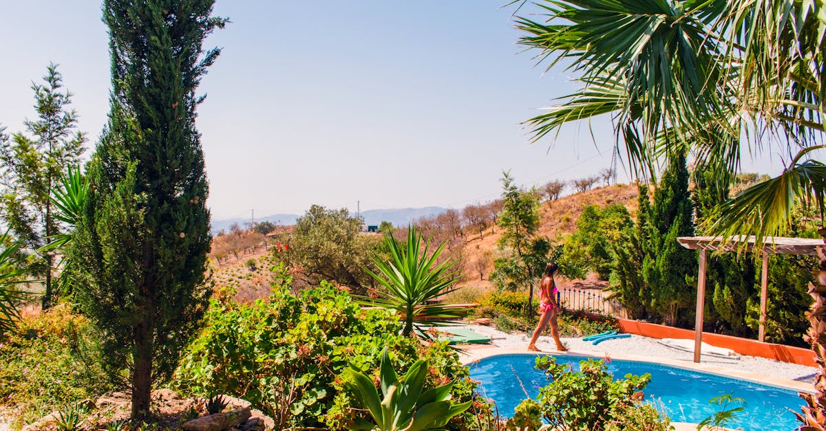 découvrez notre swim spa, l'alliance parfaite entre piscine et spa pour profiter d'un espace de détente et d'exercice à domicile toute l'année.