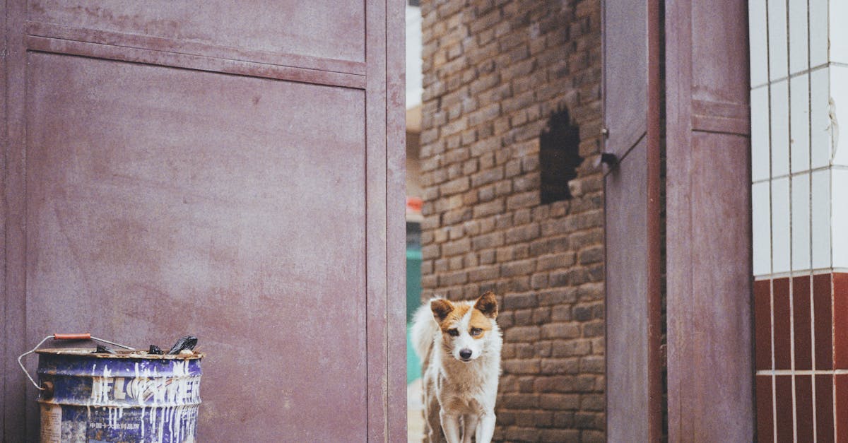 découvrez l'art de la peinture sur carreaux : techniques, styles et inspirations pour décorer vos surfaces avec créativité et élégance.