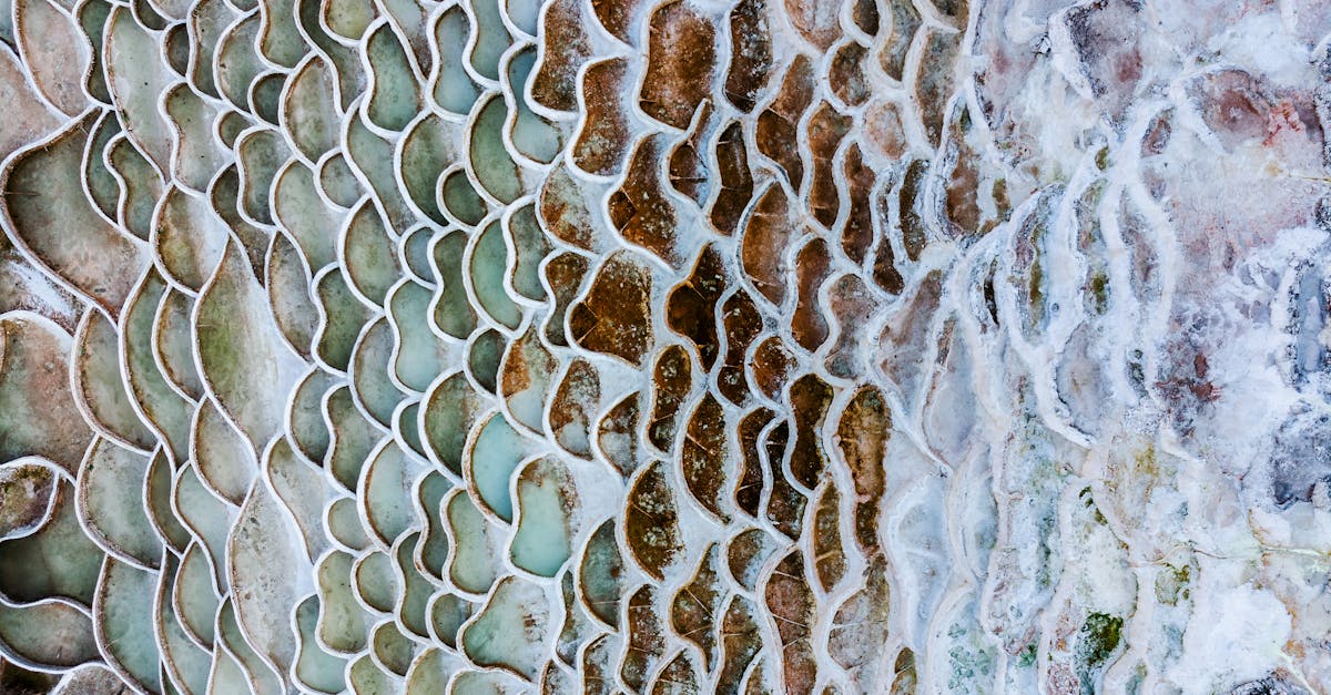 découvrez le coût d'une terrasse en travertin, ses avantages et conseils pour bien choisir votre revêtement extérieur.