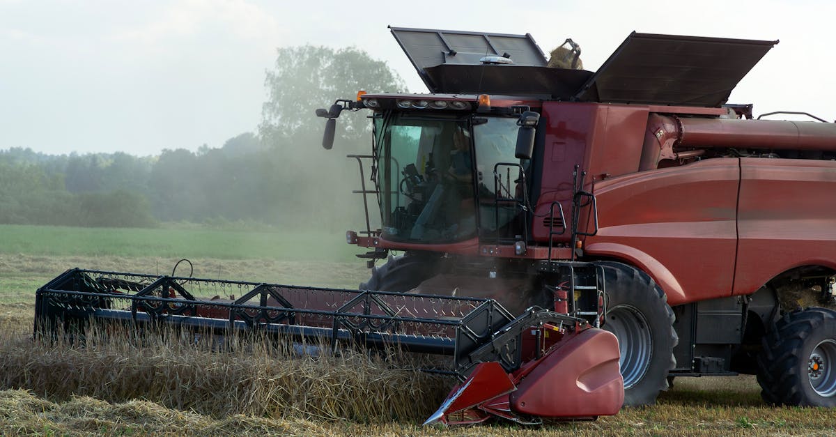 découvrez nos solutions de remplacement de fenêtres de toit velux, pour une installation rapide, efficace et adaptée à vos besoins.