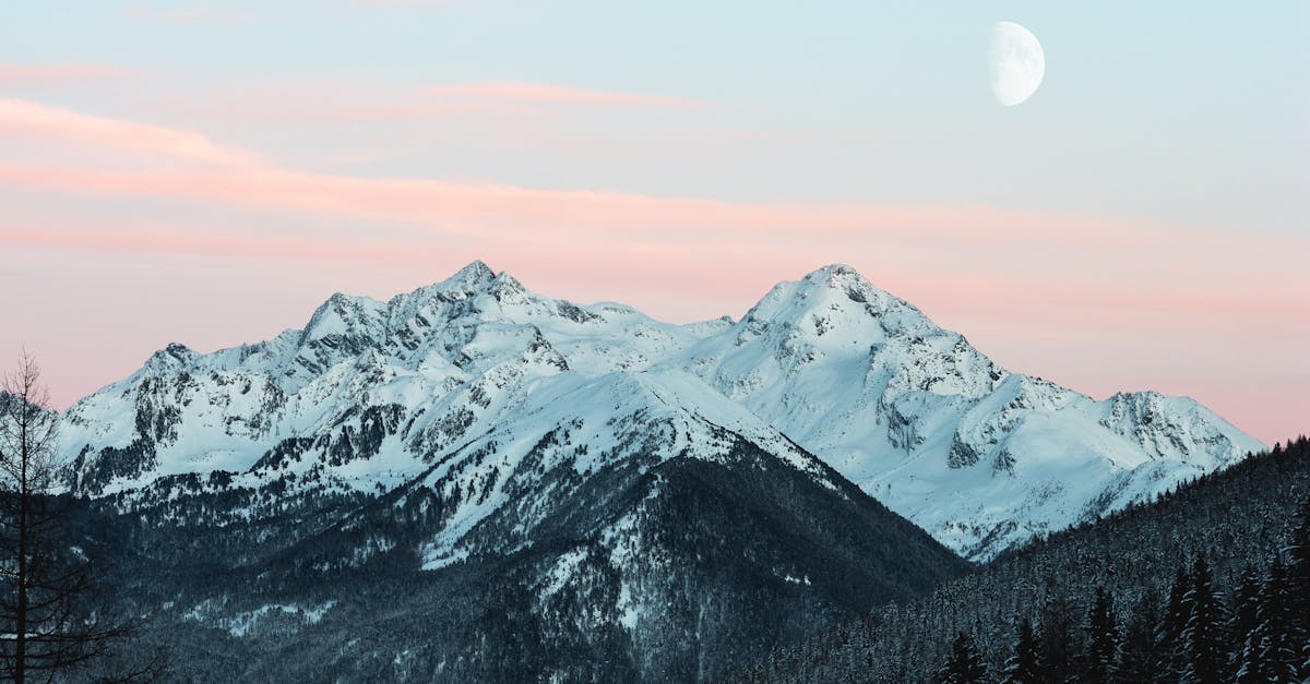 découvrez une vaste collection de fonds d'écran uniques et captivants pour personnaliser votre ordinateur, smartphone ou tablette avec style et originalité.