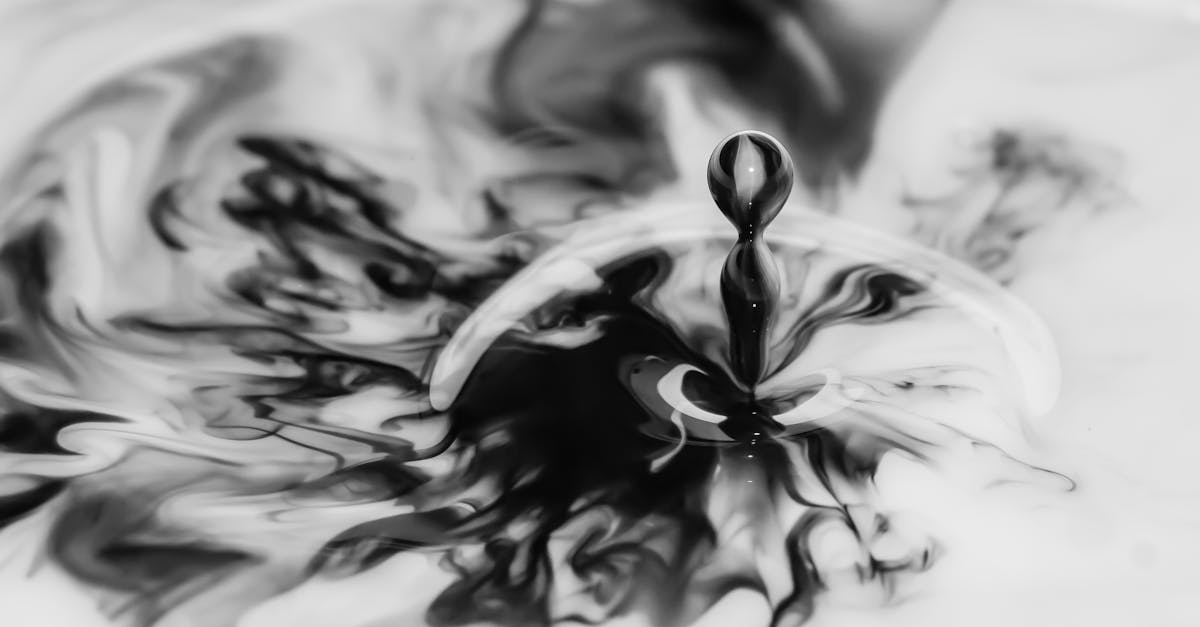 peinture à base d'eau : une solution écologique, facile à appliquer et idéale pour un rendu durable et respectueux de l'environnement.