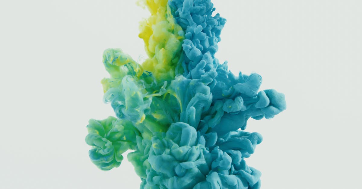 peinture à base d'eau : écologique, facile à nettoyer, idéale pour une finition durable et sans odeur forte.