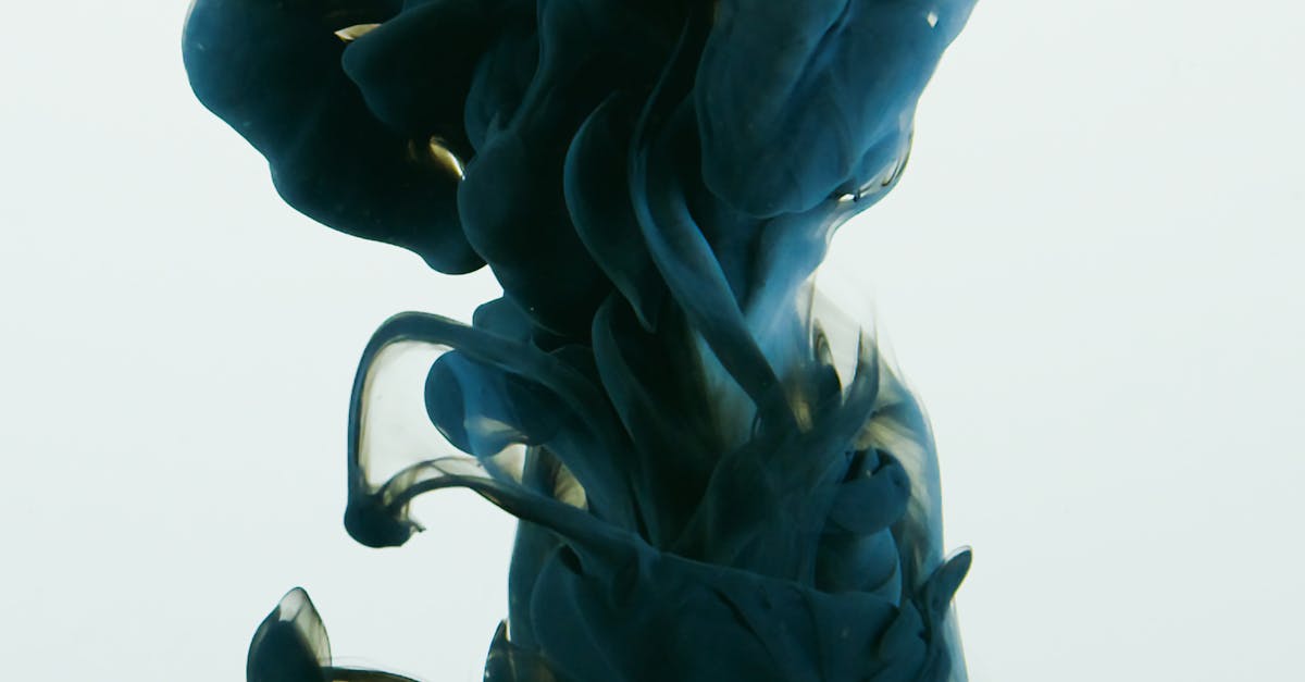 peinture à base d'eau : une solution écologique, facile à nettoyer et idéale pour tous vos projets de décoration intérieure et extérieure.