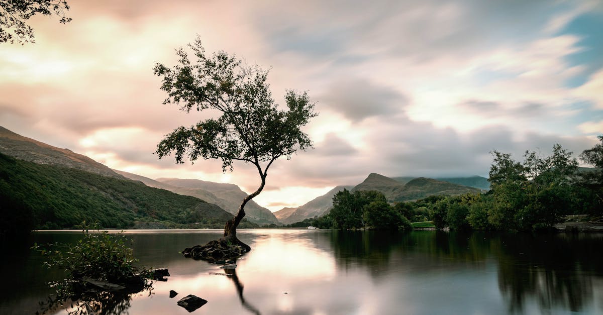 découvrez notre sélection de chauffe-eau performants et économiques, idéals pour garantir une eau chaude rapidement et durer dans le temps.