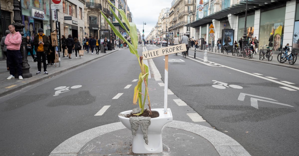 découvrez le coût d'installation d'une toilette accessible : tarifs, facteurs influençant le prix et conseils pour une salle de bain adaptée à tous.