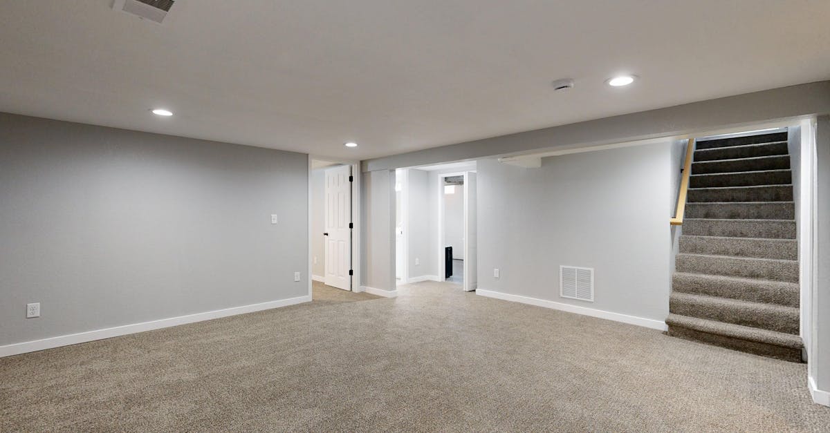 transformez votre couloir avec notre service de rénovation professionnel pour un espace moderne et accueillant.