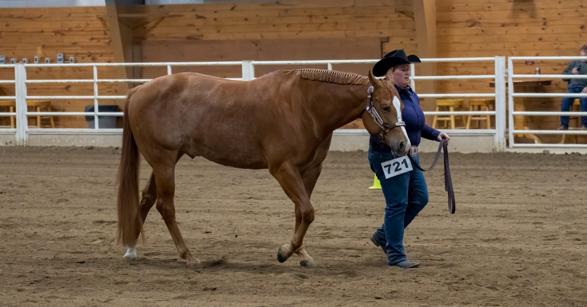 découvrez les dangers de la peinture au plomb, ses effets sur la santé et les précautions à prendre pour protéger votre famille et votre environnement.