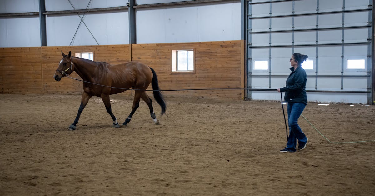 découvrez les risques liés à la peinture au plomb, ses effets sur la santé et les précautions à prendre pour assurer un environnement sûr.