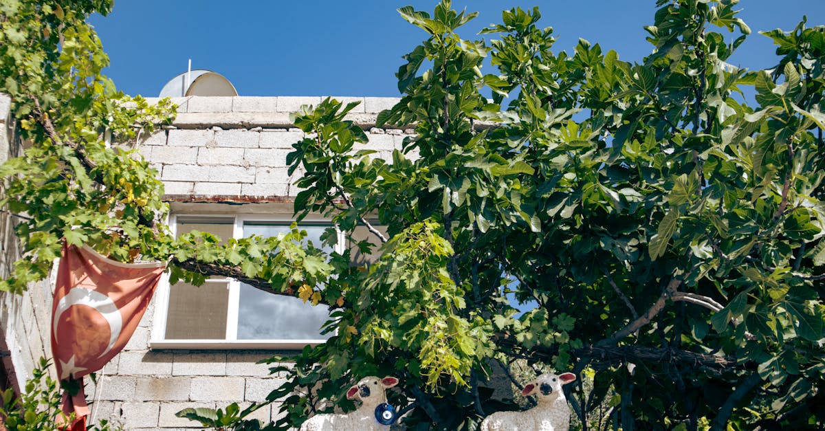 découvrez comment enlever efficacement une maille en fibre de verre avec nos conseils pratiques et outils recommandés pour un nettoyage facile et sûr.