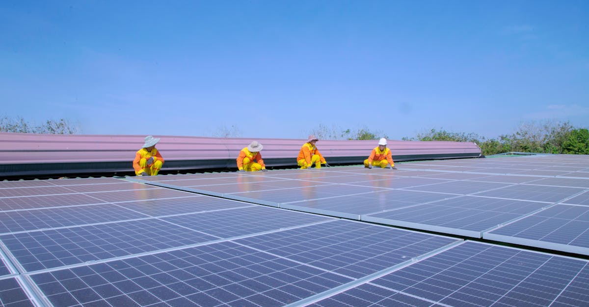 découvrez le coût et l'installation des panneaux sandwich pour toiture, une solution économique et efficace pour vos projets de construction et rénovation.