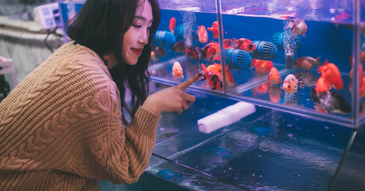 service de vidange de fosse septique professionnel et rapide pour assurer le bon fonctionnement et l'entretien de votre système d'assainissement.