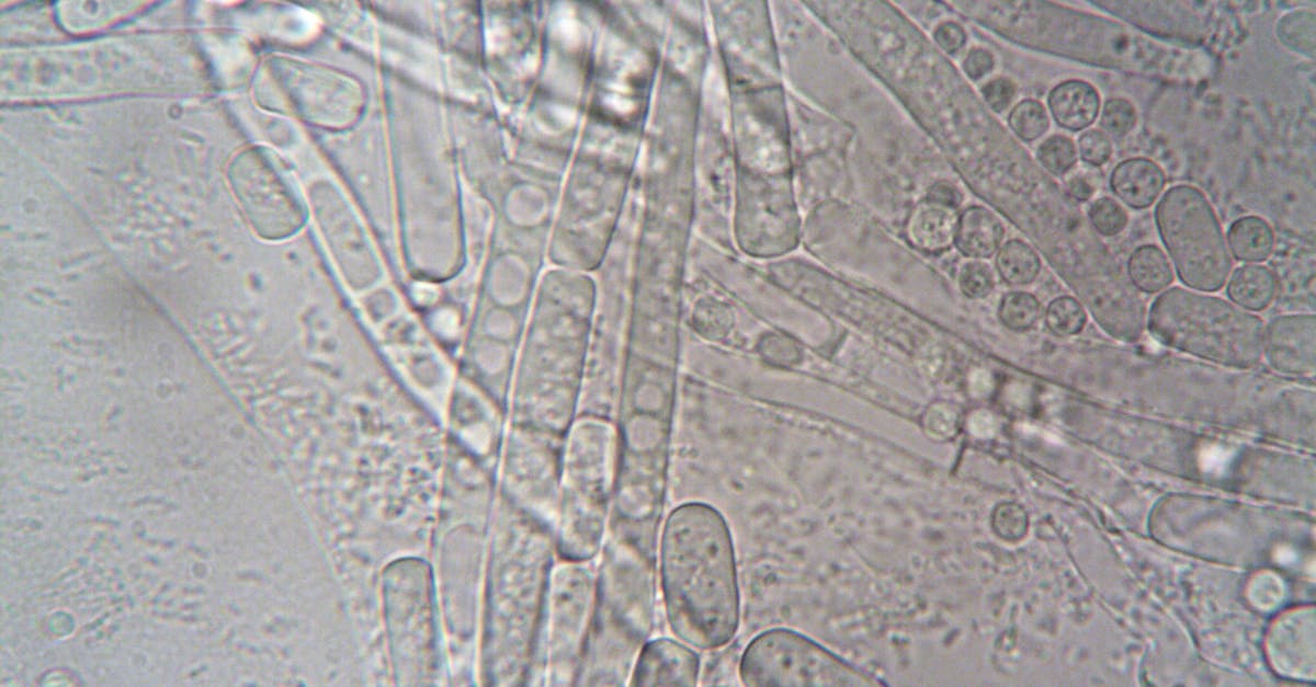 découvrez notre toit en verre coulissant, alliant modernité et luminosité pour sublimer votre espace tout en profitant d'une ouverture facile et d'une isolation optimale.