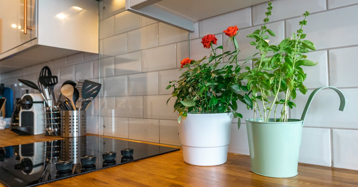 optimisez l'espace de votre petite cuisine avec des astuces pratiques et des solutions intelligentes pour un aménagement fonctionnel et esthétique.