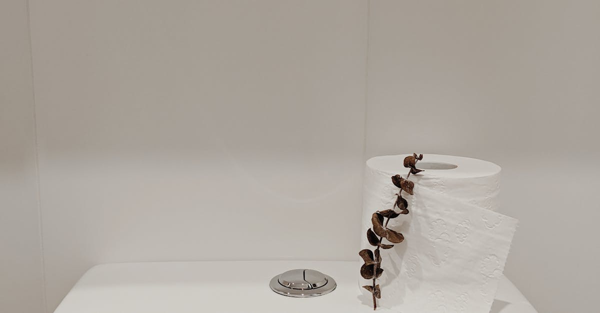 découvrez notre toilette suspendue avec lavabo intégré, alliant design moderne et gain de place pour une salle de bain fonctionnelle et esthétique.