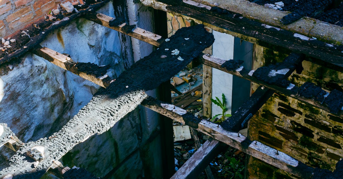 découvrez le coût des poutres en bois pour vos projets de construction ou de rénovation. guide complet des prix, matériaux et facteurs influençant le tarif.